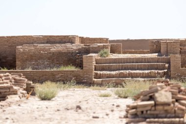 Antik şehir Sauran 'ın kalıntıları, Kazakistan.