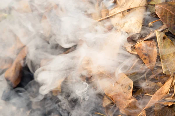 Rook van brandende verlaat — Stockfoto
