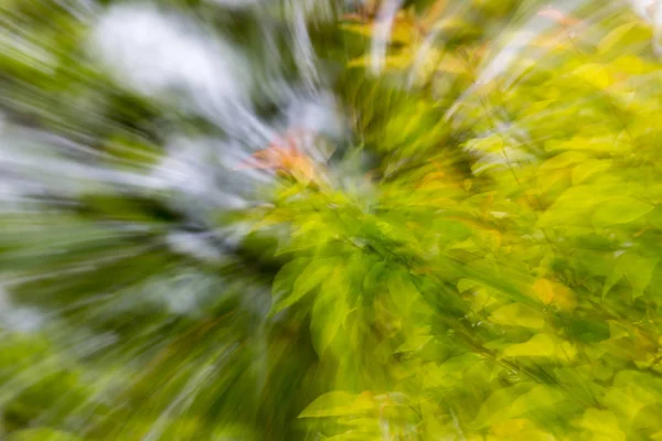 Achtergrond Van Natuur Beweging Foto Van Een Abstracte Textuur — Stockfoto