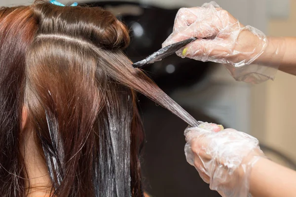 Фарбування волосся в салоні краси — стокове фото