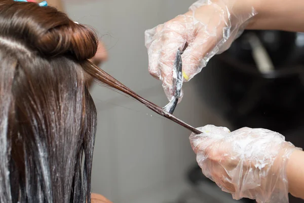 Coloration des cheveux dans un salon de beauté — Photo