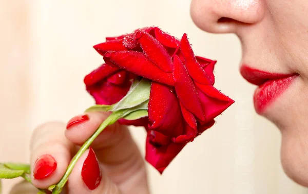 Червона троянда, червоний манікюр і червоні губи — стокове фото