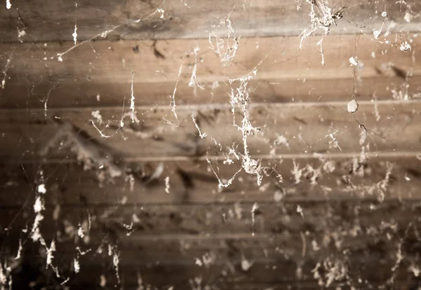 Bodrum katında örümcek ağları — Stok fotoğraf