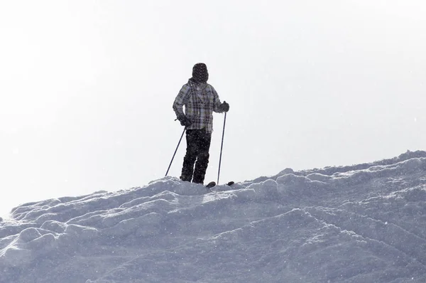 Idrottsman skidåkning i de snöklädda bergen — Stockfoto