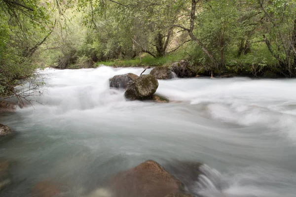 Mountain river in nature — Stock Photo, Image