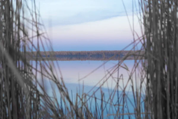 En sjö med vass i gryningen på hösten — Stockfoto