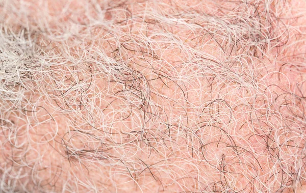 Cabelo da barba. close-up — Fotografia de Stock