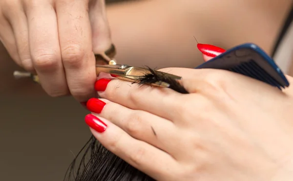Чоловічі ножиці для стрижки волосся в салоні краси Ліцензійні Стокові Фото