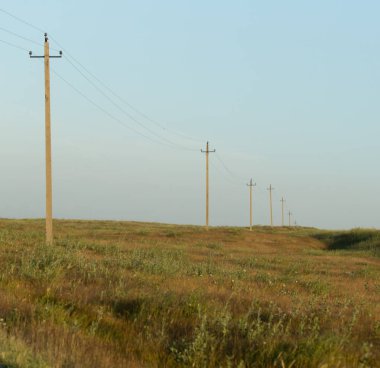 Günbatımında elektrik direkleri