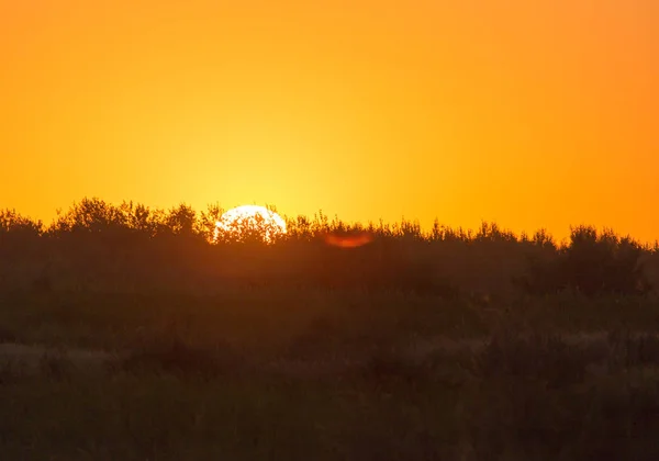 美しい夕日を背景に 自然公園で — ストック写真