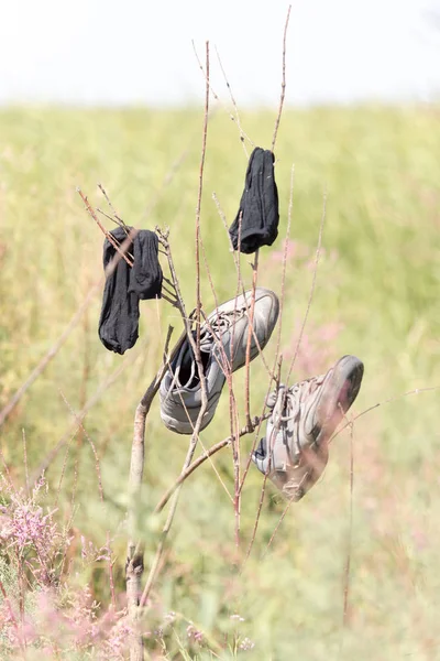 Wet clothes to dry on the branches — Stock Photo, Image