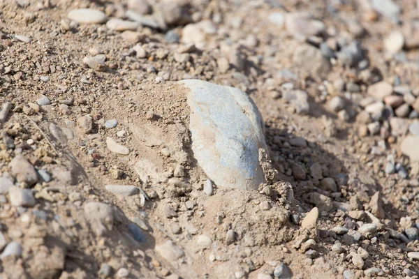 Stones Ground Park Nature — Stock Photo, Image