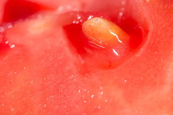 Close up slice of juicy red tomato — Stock Photo, Image