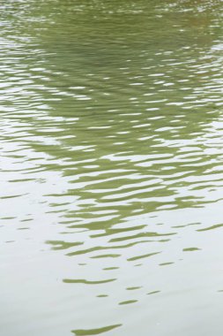 Suyun sarı yüzeyinin arkaplanı