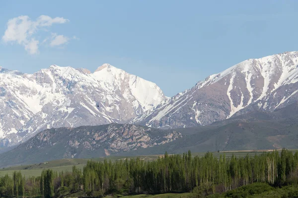 Le cime innevate delle montagne Tien Shan. Kazakistan — Foto Stock