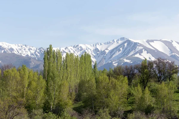 Zasněžené vrcholky pohoří Tien Shan. Kazachstán — Stock fotografie