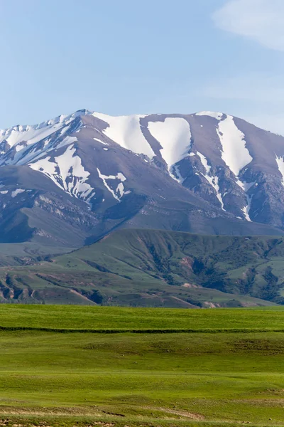 Tien Shan Dağları 'nın karlı zirveleri. Kazakistan — Stok fotoğraf