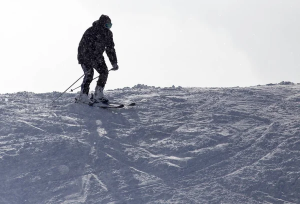 Ludzie na nartach w zimie — Zdjęcie stockowe