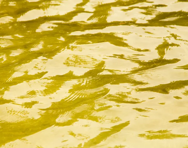 Φόντο της κίτρινης επιφάνειας του νερού — Φωτογραφία Αρχείου