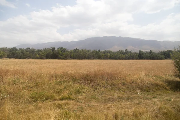 Montañas en Kazajstán. otoño — Foto de Stock