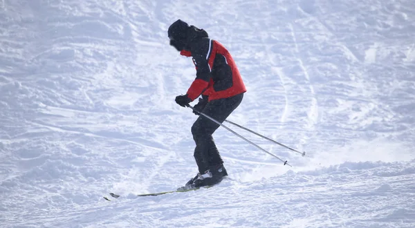 사람들이 겨울에는 스키 — 스톡 사진