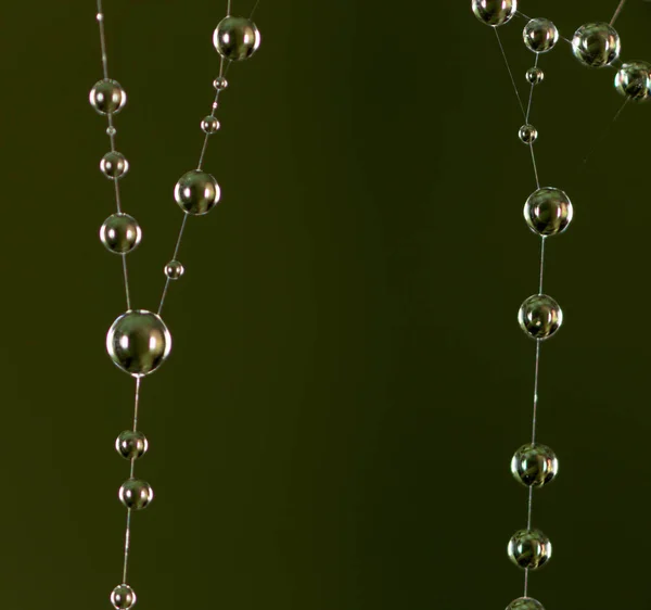 自然界中蜘蛛网上的水滴。关闭 — 图库照片