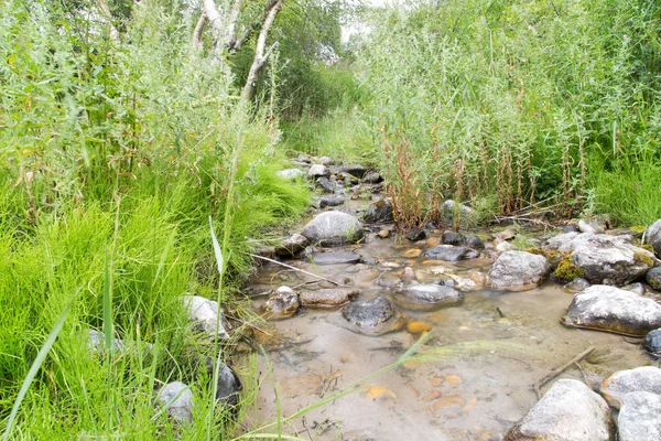 Berg rivier in de natuur — Stockfoto