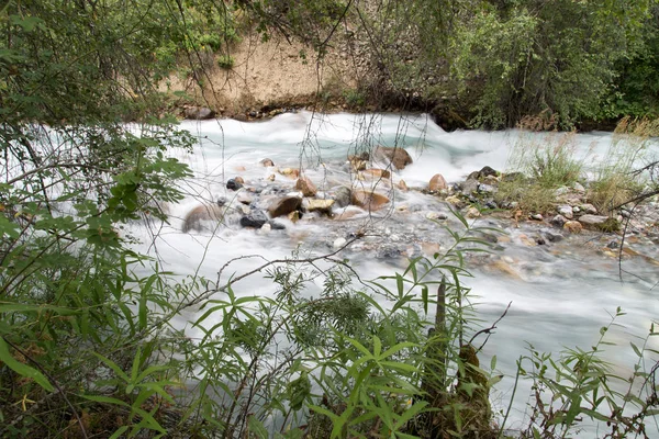 Rivière de montagne dans la nature — Photo