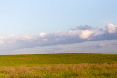 Kazakistan 'ın bozkırlarında bahar