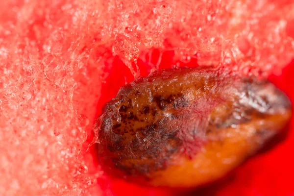 Wassermelone. Supermakro — Stockfoto