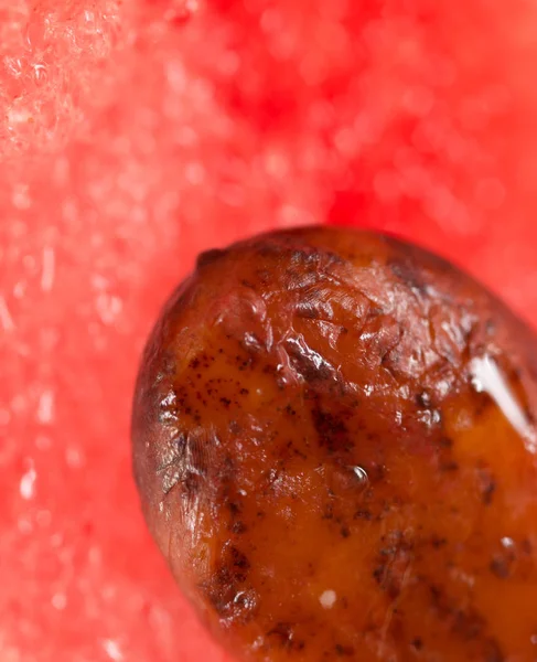 Watermelon. super macro — Stock Photo, Image