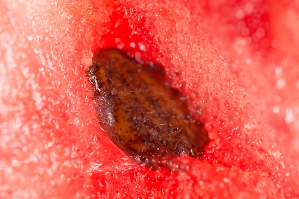 Vattenmelon. Super makro — Stockfoto