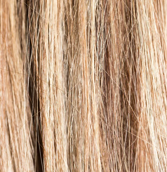Fundo do cabelo humano — Fotografia de Stock