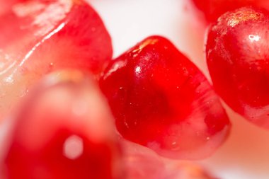 Kırmızı Lal. Makro