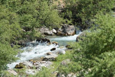 Kazakistan'ın dağ Nehri