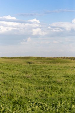 Kazakistan 'ın bozkırlarında bahar
