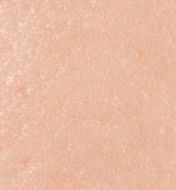 arka plan olarak insan derisi. Makro