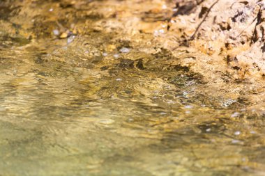 whitewater nehir üzerinde arka plan