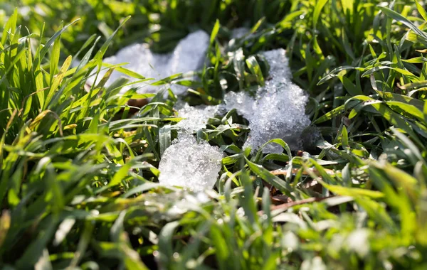 Snow on the green grass — Stock Photo, Image
