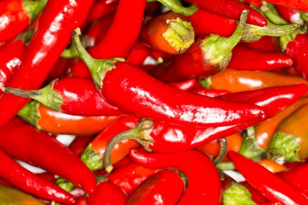 Heap van rijpe grote rode pepers — Stockfoto