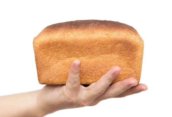 Pão fresco na mão sobre um fundo branco — Fotografia de Stock