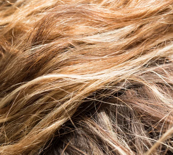 Cabelo como pano de fundo. textura — Fotografia de Stock