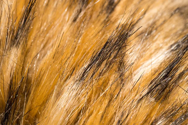 Animale da pelliccia come sfondo. texture — Foto Stock