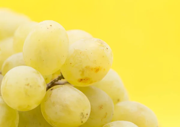 Grapes on a yellow background — Stock Photo, Image