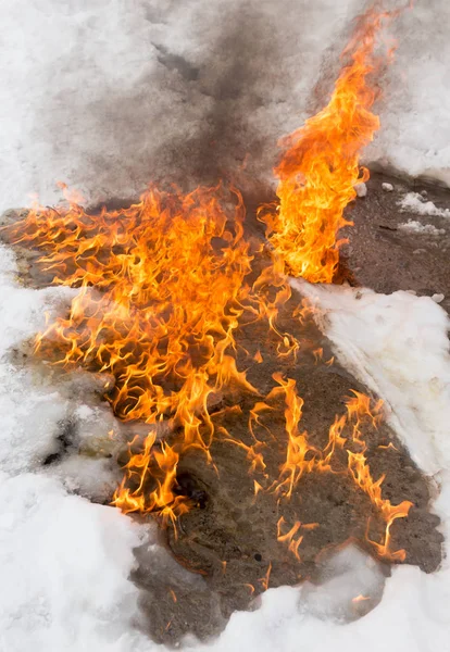 Llama ardiente en la nieve blanca en invierno —  Fotos de Stock