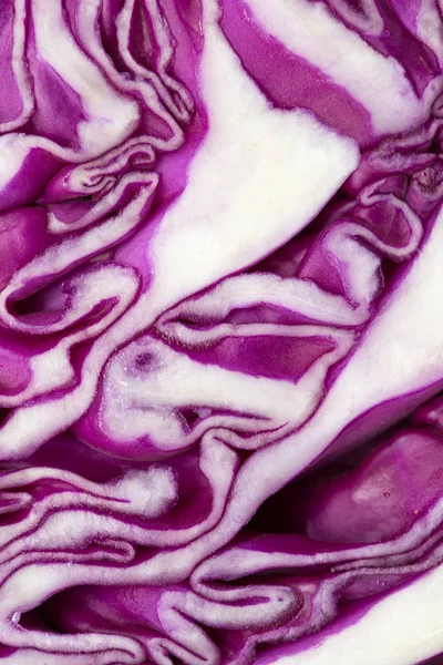 Rotkohl als Hintergrund — Stockfoto