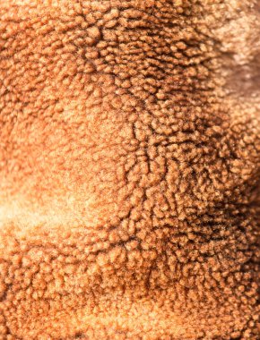 Kahverengi kat arka plan olarak