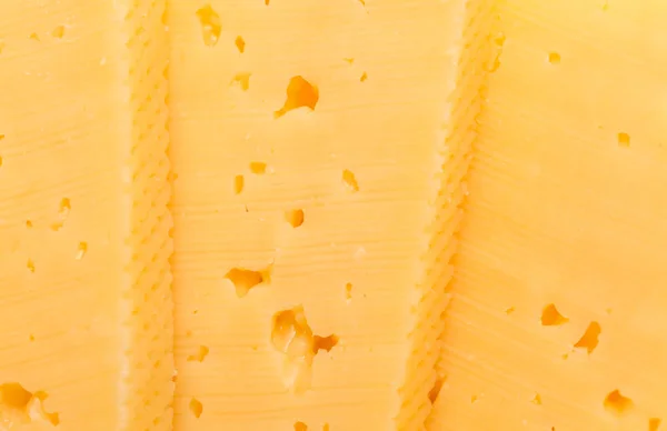 Cheese as background. macro — Stock Photo, Image