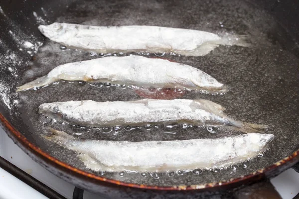 Capelin in the flour fried in a pan — Stock Photo, Image