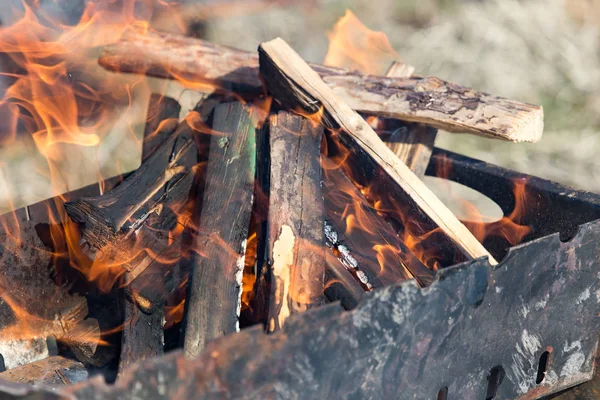 Brandhout brandt in de grill. — Stockfoto